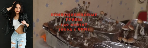 spice Кизел