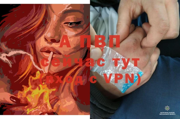 a pvp Горняк