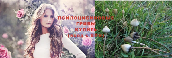 эйфоретик Горно-Алтайск